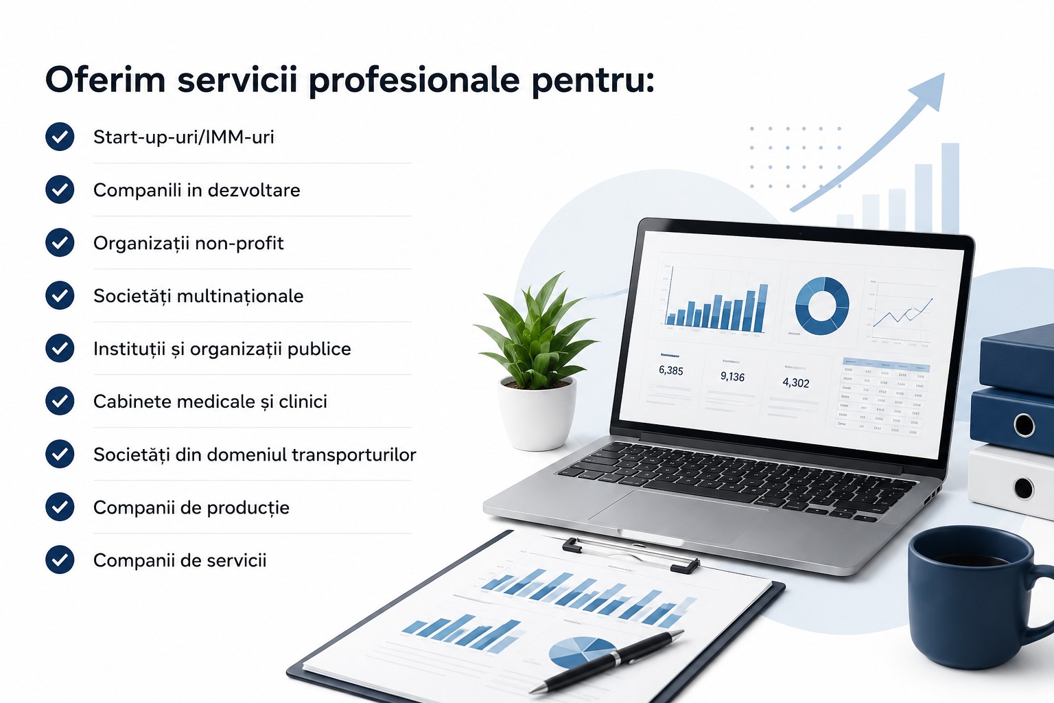 Servicii de contabilitate financiară – rapoarte și evidență contabilă
